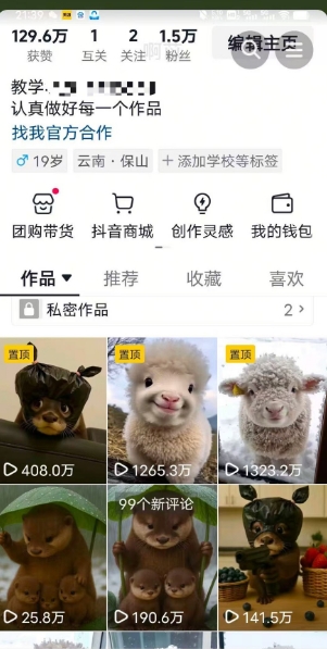 抖音65W博主AI萌宠课程，新赛道流量大，原创+二创，全套课程+提示词插图1