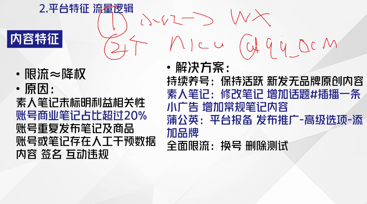 尼采老师·小红书爆单系列课插图1