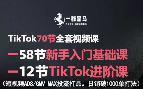 TikTok全套视频课,新手入门+进阶课,短视频ADS-GMV MAX投流打品,日销破1000单打法插图 TikTok全套视频课,新手入门+进阶课,短视频ADS-GMV MAX投流打品,日销破1000单打法插图