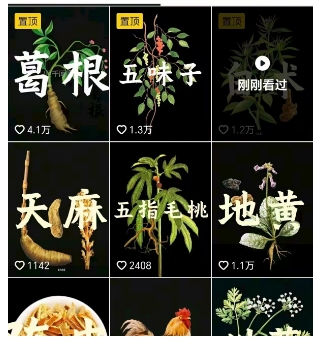 抖音中草药赛道，用AI做中草药故事视频，45条作品涨粉13W，橱窗带货猛猛出单插图1