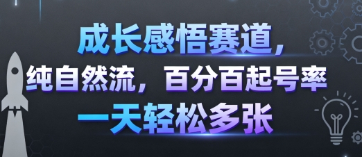 成长感悟赛道,纯自然流,百分百起号率 一天轻松多张插图 成长感悟赛道,纯自然流,百分百起号率 一天轻松多张插图
