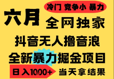 25年6月高爆抖音无人直播最新撸音浪掘金项目,小白可做,无脑日入1k+,门槛低可批量矩阵【揭秘】插图 25年6月高爆抖音无人直播最新撸音浪掘金项目,小白可做,无脑日入1k+,门槛低可批量矩阵【揭秘】插图