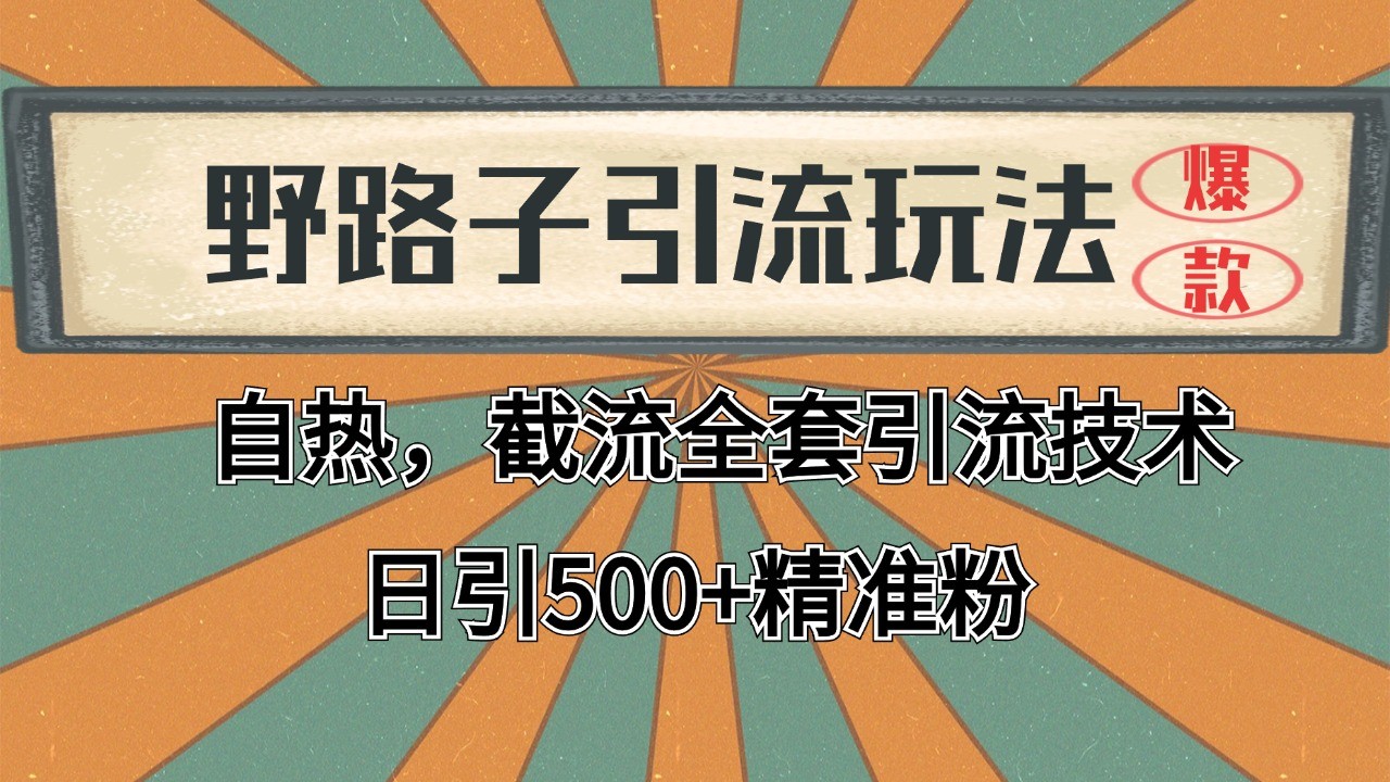 2024首发野路子引流玩法截流自热全平台打法,全自动引流【日引2000+精准客户】插图 2024首发野路子引流玩法截流自热全平台打法,全自动引流【日引2000+精准客户】插图