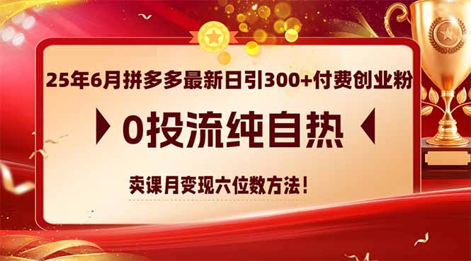 25年6月拼多多最新日引300+付费创业粉，0投流纯自热 卖课月变现六位数方法