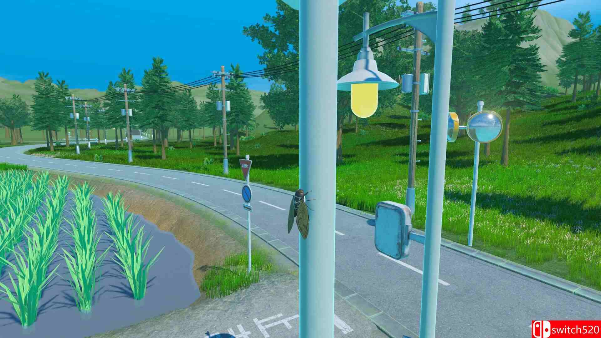 《蝉之生存（CICADA）》官方中文 [中文/英文/日语]插图3