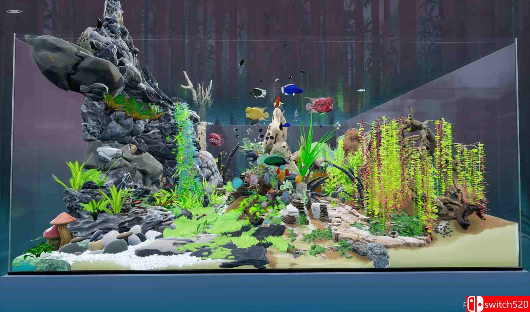 《养鱼模拟器（Fish Game）》集成贝塔鱼套装1 DLC [英文]插图3