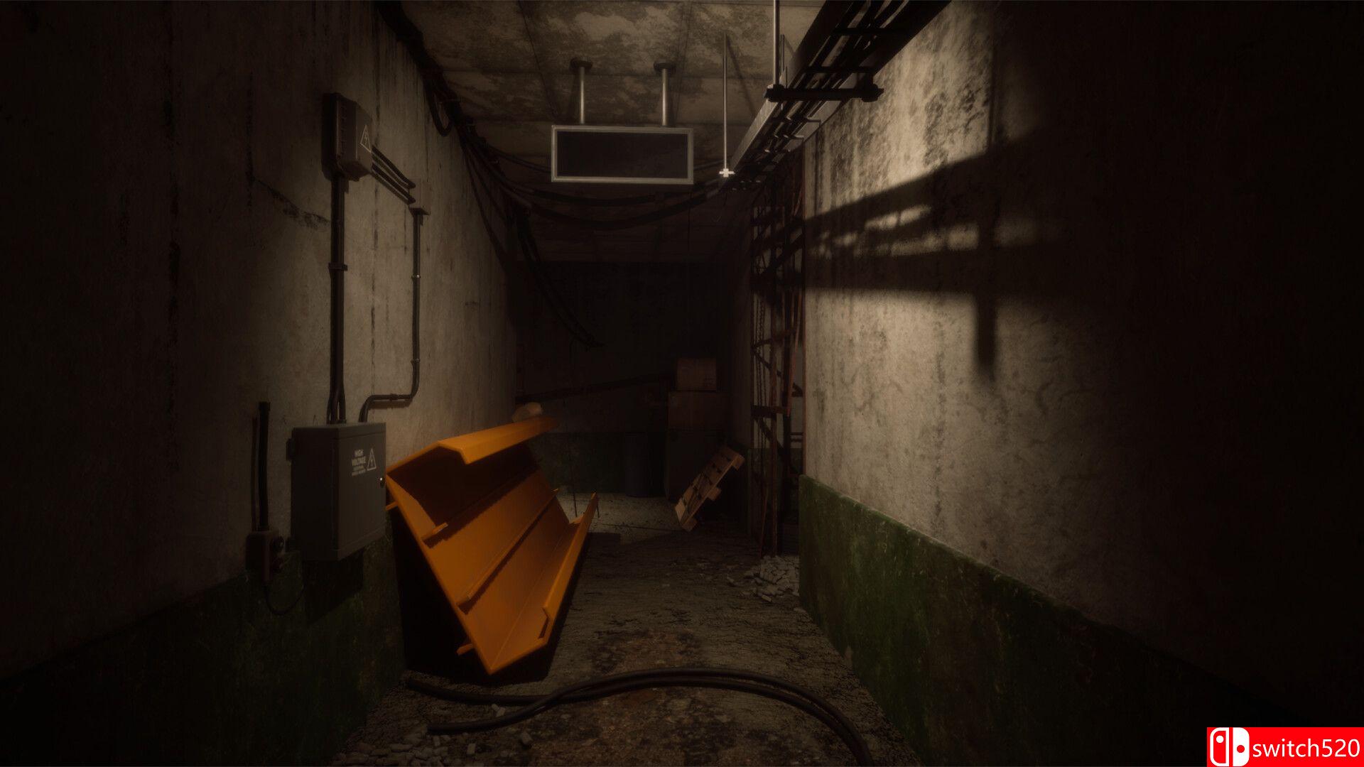 《昏暗之光（Dimmed Light）》官方中文 v19957276 [中文/英文]插图3