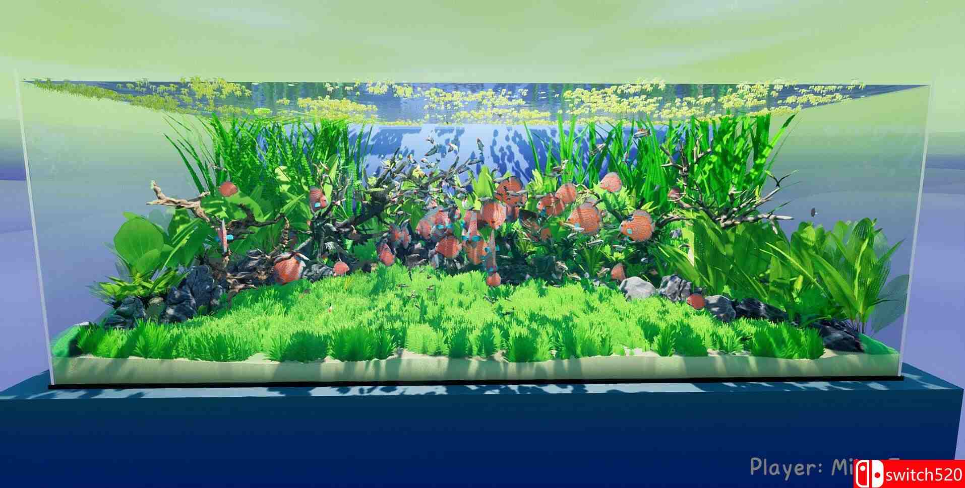 《养鱼模拟器（Fish Game）》集成贝塔鱼套装1 DLC [英文]插图5