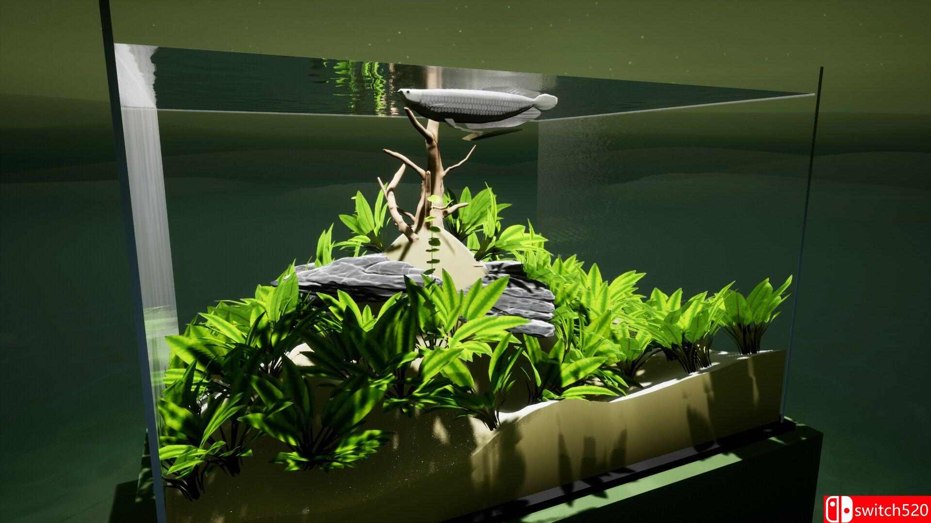 《养鱼模拟器（Fish Game）》集成贝塔鱼套装1 DLC [英文]插图1