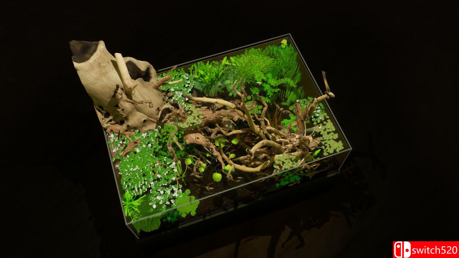 《养鱼模拟器（Fish Game）》集成贝塔鱼套装1 DLC [英文]插图4