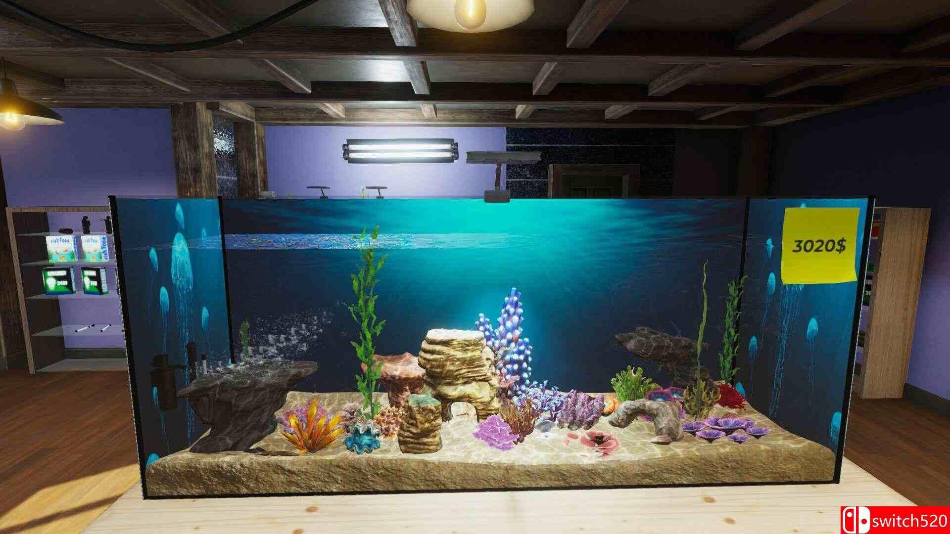 《水族馆（Aquarist）》官方中文 集成美洲鱼DLC [中文/繁体/英文/日语]插图5