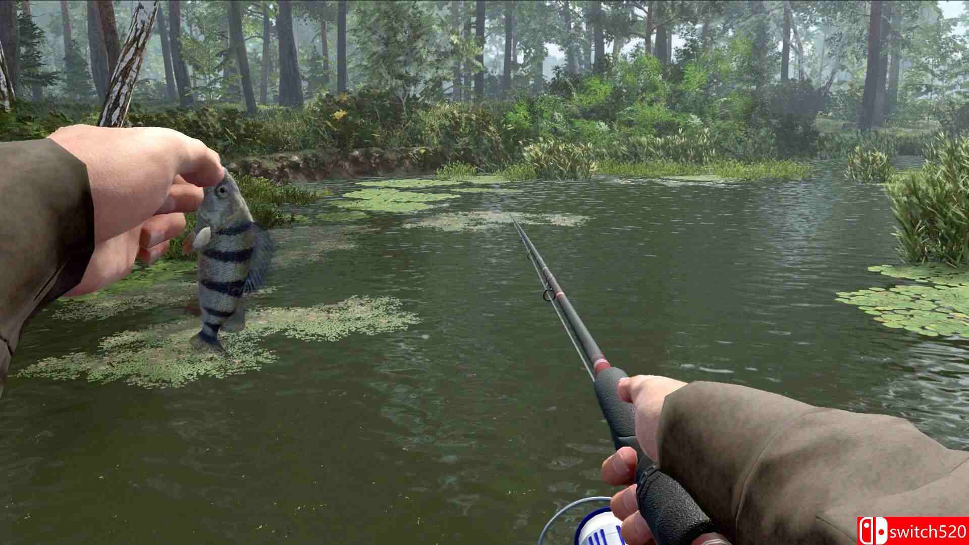 《职业钓鱼2（Professional Fishing 2）》官方中文 [中文/英文/日语]插图5