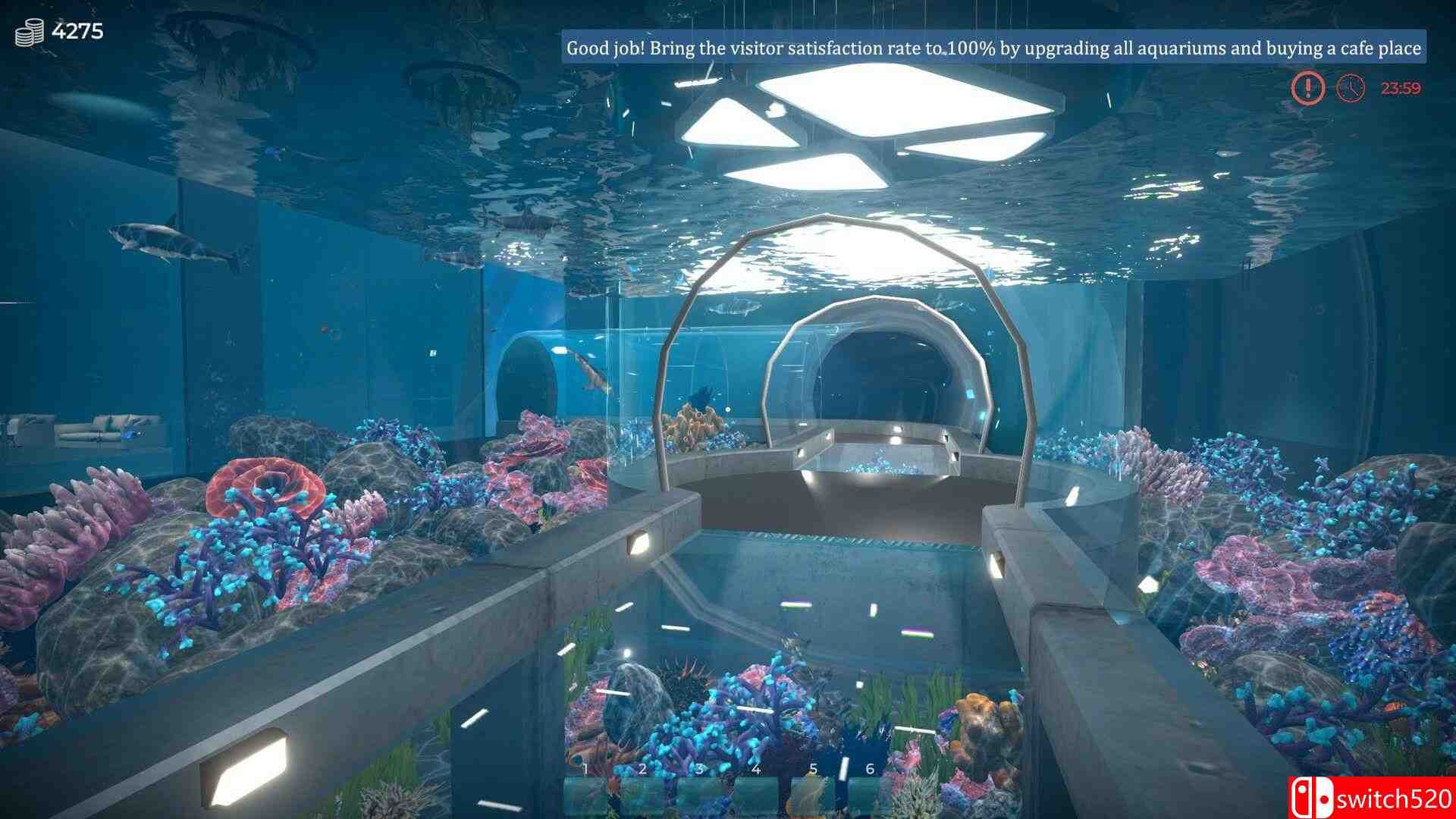 《水族馆（Aquarist）》官方中文 集成美洲鱼DLC [中文/繁体/英文/日语]插图2