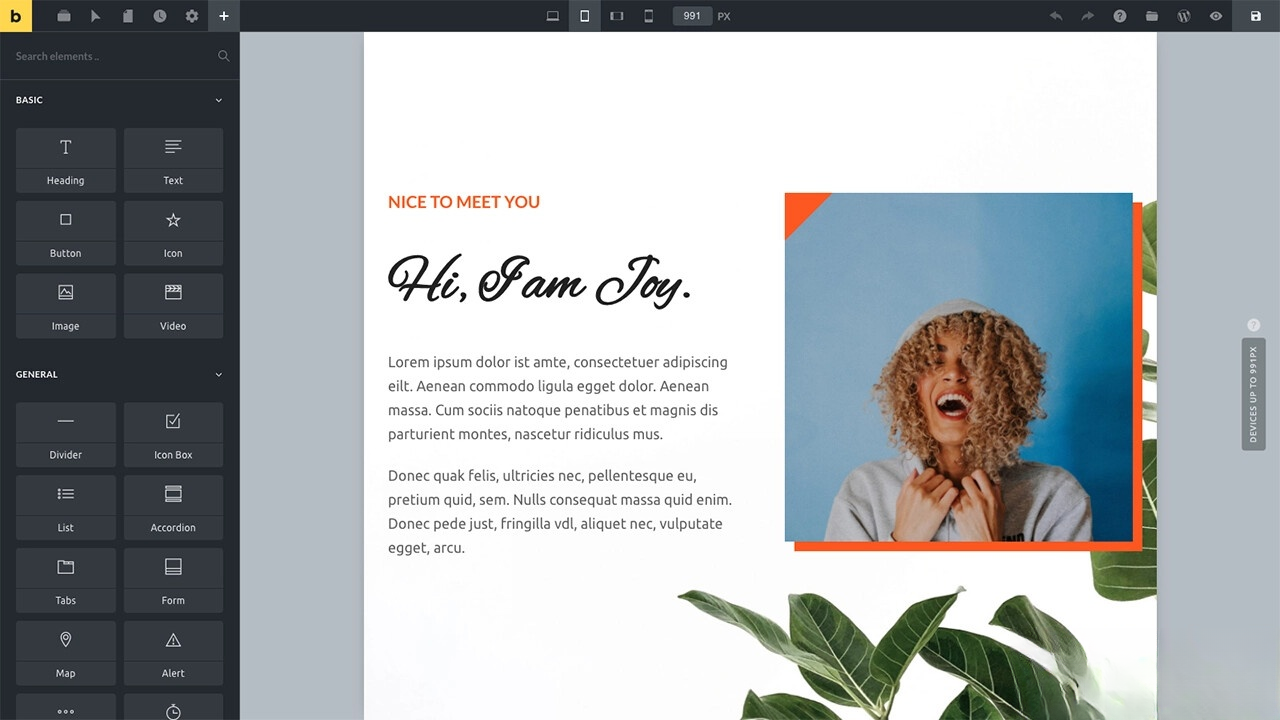 WordPress主题Bricks v1.9 破解版插图 WordPress主题Bricks v1.9 破解版插图