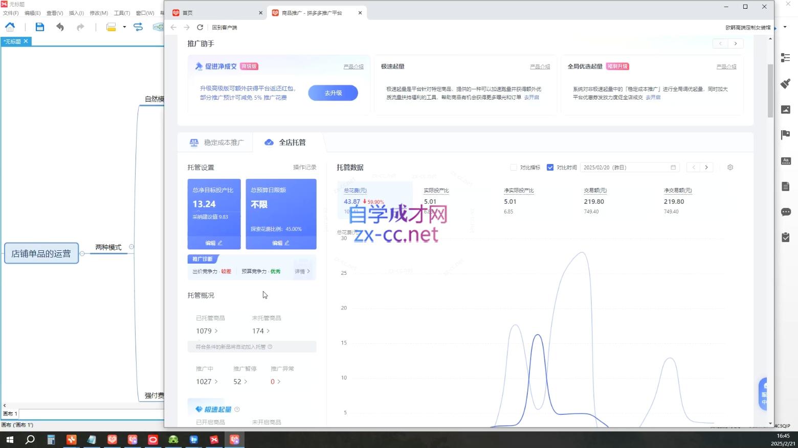 齐论拼多多vip课程插图1