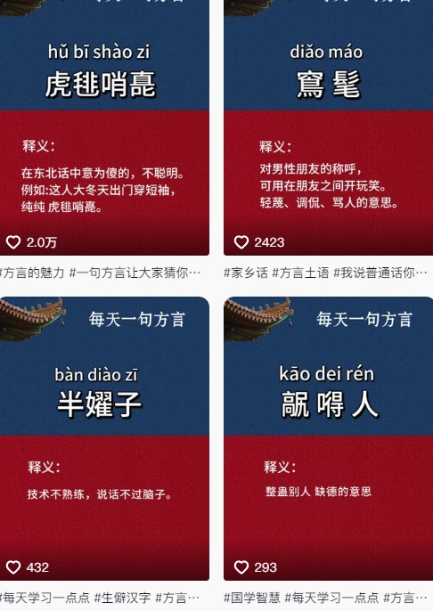 抖音最新涨粉玩法，图文方言暴力涨粉实操，126作品涨粉11W插图1