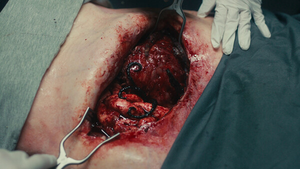 《死亡重启/Dead Reset》PC中文版下载-含v1.0.4插图1