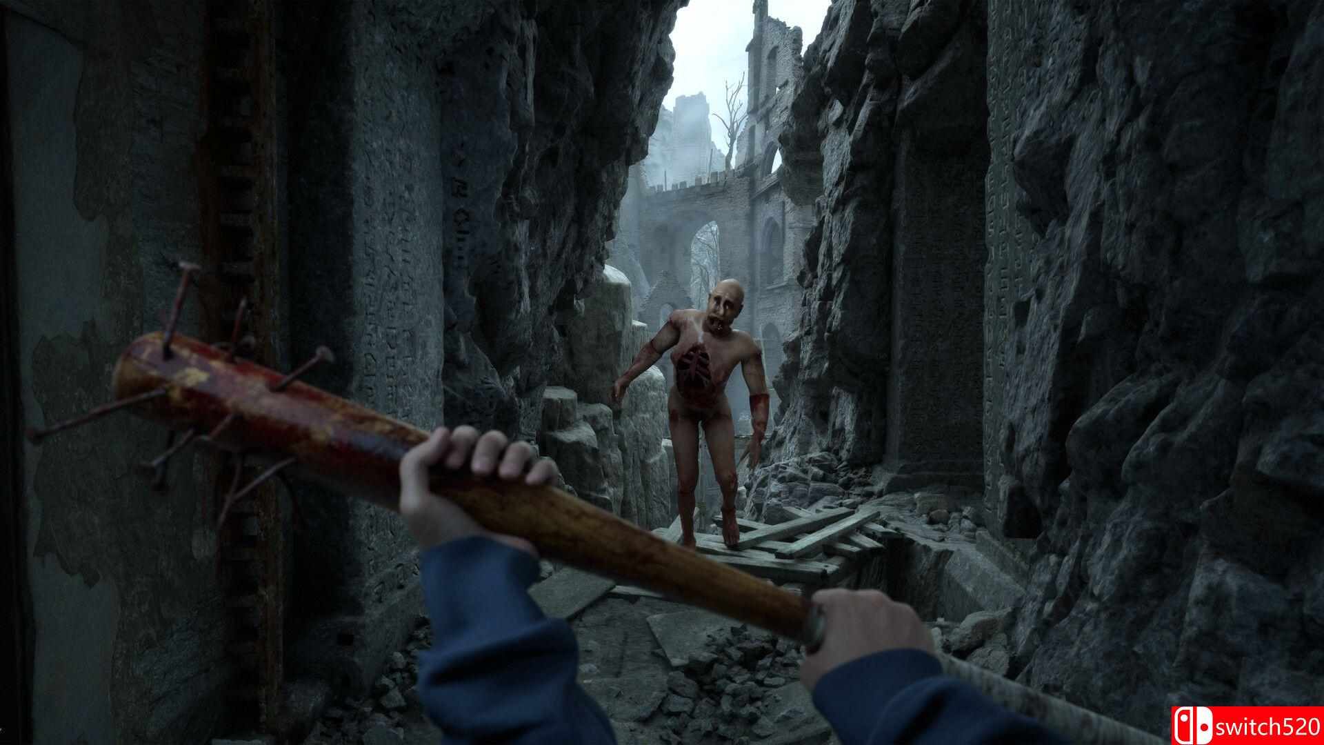 《荒凉避难所（Bleak Haven）》官方中文 [中文/英文/日语]插图4