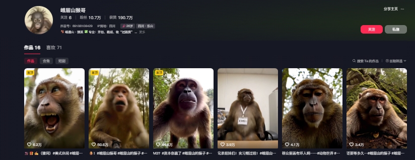 最新爆火的峨眉山猴子短视频制作教程，条条点赞10w+，谁做谁火【教程+提示词】插图1