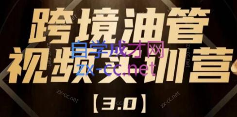 阿蔺Leo·跨境油管视频YouTube实训营(更新2025)