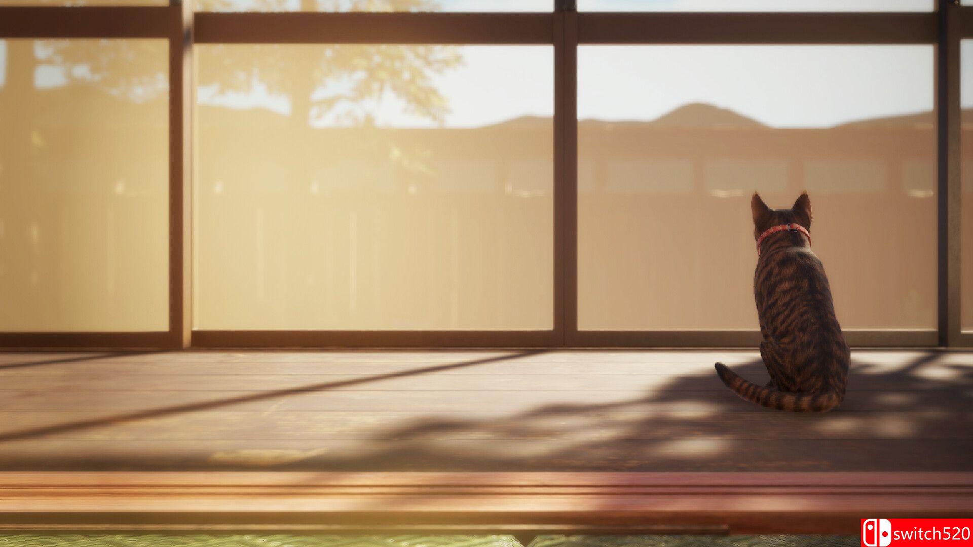 《猫还在逃吗？（Still It Runs）》官方中文 [中文/繁体/英文/日语]插图1