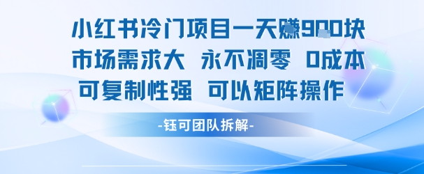 小红书冷门项目一天收益9张,市场需求大,0成本,可复制性强可以矩阵操作插图 小红书冷门项目一天收益9张,市场需求大,0成本,可复制性强可以矩阵操作插图