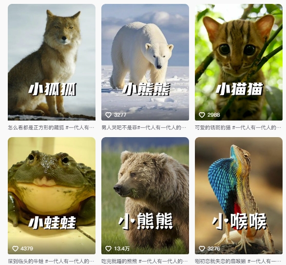 最新搞笑动物百科详细解说课程，蓝海赛道，流量非常大，轻松签独家进精选插图1