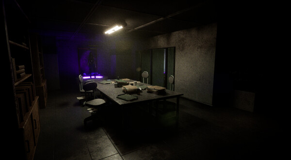 《紫罗兰/Violet》PC中文版下载-含Build.20322970插图2 《紫罗兰/Violet》PC中文版下载-含Build.20322970插图2