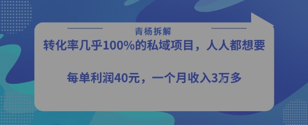 转化率最高的私域项目,每单利润40-50米,月入过1w插图 转化率最高的私域项目,每单利润40-50米,月入过1w插图
