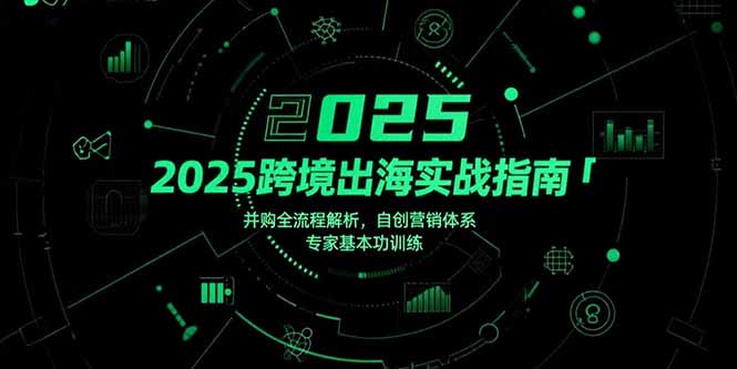 2025跨境出海实战指南,并购全流程解析,自创营销体系,专家基本功训练插图 2025跨境出海实战指南,并购全流程解析,自创营销体系,专家基本功训练插图