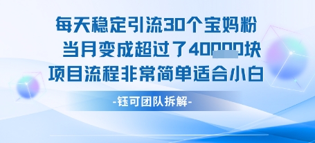 每天稳定引流30个人 当月变成超过了4个W项目流程非常简单适合小白插图 每天稳定引流30个人 当月变成超过了4个W项目流程非常简单适合小白插图