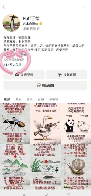 Puff手绘视频号分成项目，三天过分成计划，简单易上手，适合新手插图1