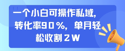 一个小白可操作私域,转化率90%,单月轻松收割2W插图 一个小白可操作私域,转化率90%,单月轻松收割2W插图
