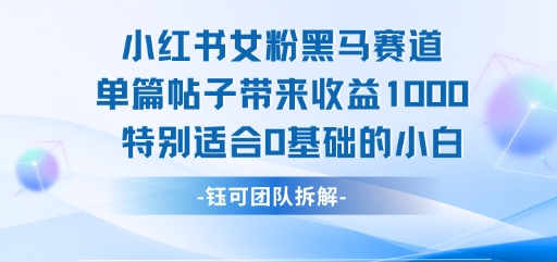 小红书女粉黑马赛道单篇帖子带来收益1k+,特别适合0基础的小白插图 小红书女粉黑马赛道单篇帖子带来收益1k+,特别适合0基础的小白插图