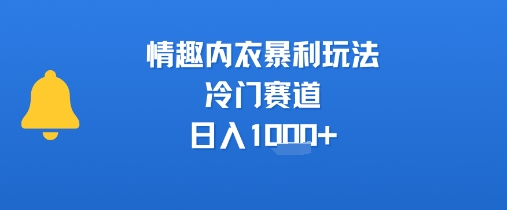 情趣内衣暴利玩法,冷门赛道,日入1k+插图 情趣内衣暴利玩法,冷门赛道,日入1k+插图