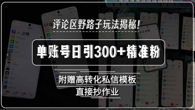 评论区野路子玩法揭秘!单账号日引300+精准粉,附赠高转化私信模板,直…插图 评论区野路子玩法揭秘!单账号日引300+精准粉,附赠高转化私信模板,直…插图