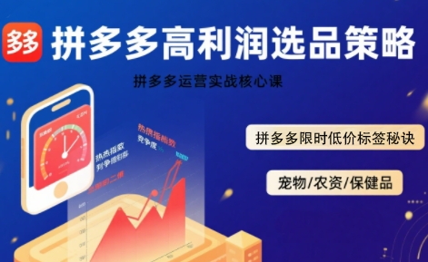 拼多多选品暴利技术实战课,拼多多高利润选品策略,拼多多限时低价标签秘诀插图 拼多多选品暴利技术实战课,拼多多高利润选品策略,拼多多限时低价标签秘诀插图