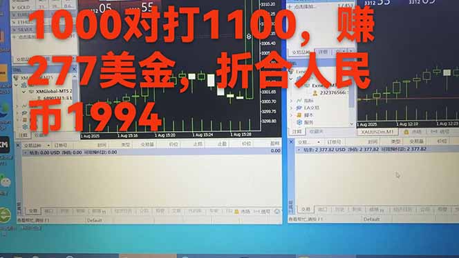 稳定8年的美刀搬砖项目，单人每日收益800—3000.团队4人月入10W+.可线下插图5