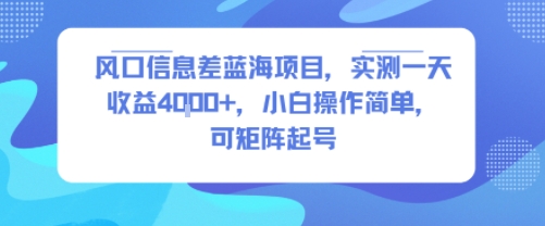 风口信息差蓝海项目,实测一天收益4k+,小白操作简单,可矩阵起号插图 风口信息差蓝海项目,实测一天收益4k+,小白操作简单,可矩阵起号插图