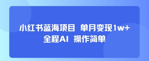 小红书蓝海项目 单月变现1w+ 全程AI 操作简单插图 小红书蓝海项目 单月变现1w+ 全程AI 操作简单插图