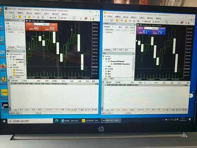 美金对冲创业项目，日收益1000-3000，小众暴力项目稳定运行8年插图5