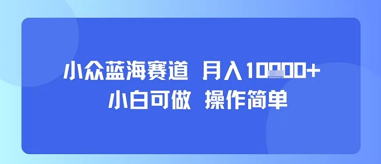 小众蓝海赛道,小白可做,操作简单,每天30分钟,月入1W+插图 小众蓝海赛道,小白可做,操作简单,每天30分钟,月入1W+插图