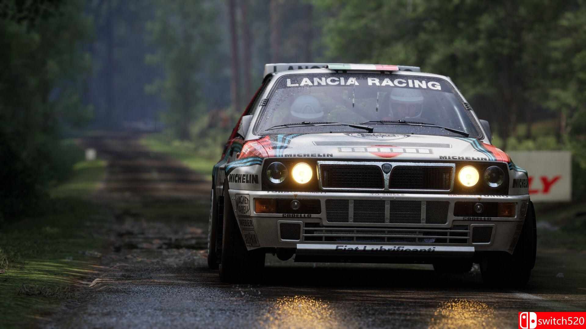 《神力科莎：拉力（Assetto Corsa Rally）》官方中文 [中文/英文]插图5
