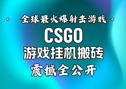 【年底大揭秘】基于全球最火爆的射击CSGO游戏挂G搬砖,日入5张+,震撼公开插图 【年底大揭秘】基于全球最火爆的射击CSGO游戏挂G搬砖,日入5张+,震撼公开插图