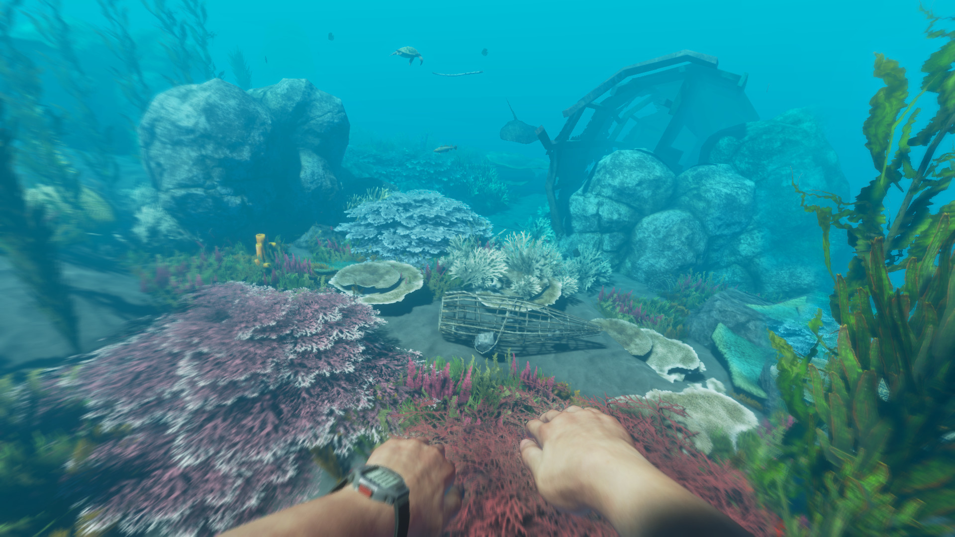 《荒岛求生 Stranded Deep》Switch中文版NSP下载 – 含1.0.3补丁插图1