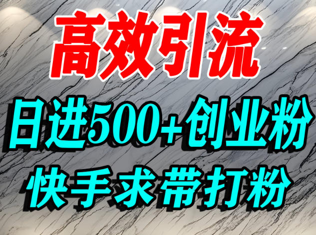 怎么打创业粉?快手求带视角精准引流创业粉,宝妈、学生群体日进500+精准流量插图 怎么打创业粉?快手求带视角精准引流创业粉,宝妈、学生群体日进500+精准流量插图