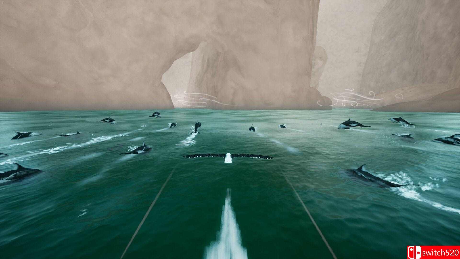 《托罗阿：天际呼唤（Toroa: Skycall）》[英文]插图3