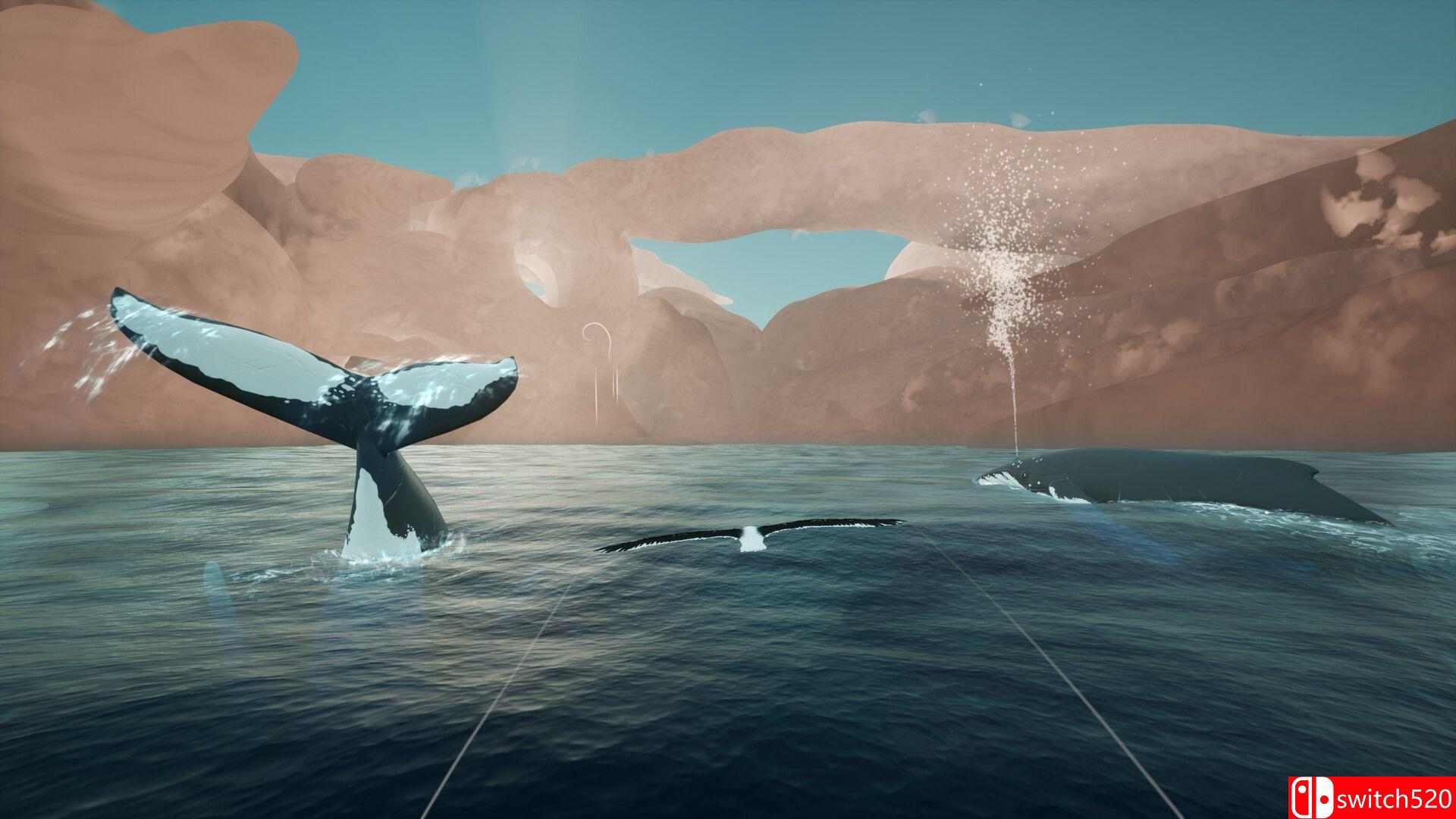 《托罗阿：天际呼唤（Toroa: Skycall）》[英文]插图5