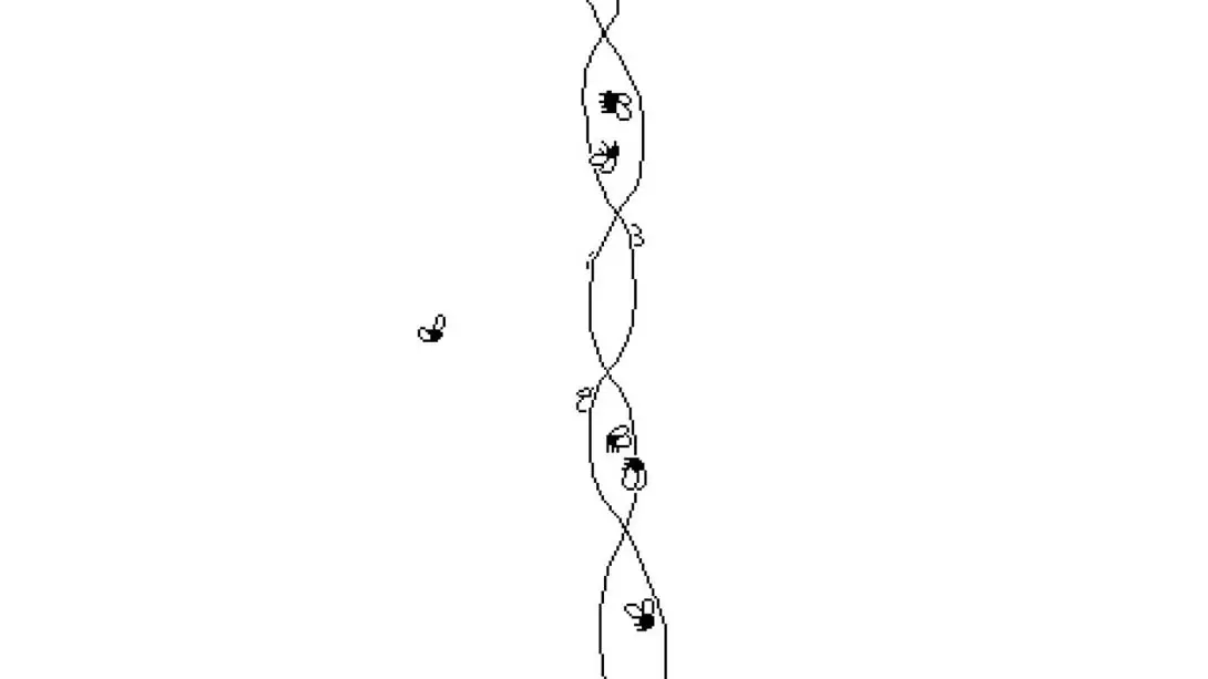 【美版】逝者如斯蝇 .Time Flies 中文插图2 【美版】逝者如斯蝇 .Time Flies 中文插图2