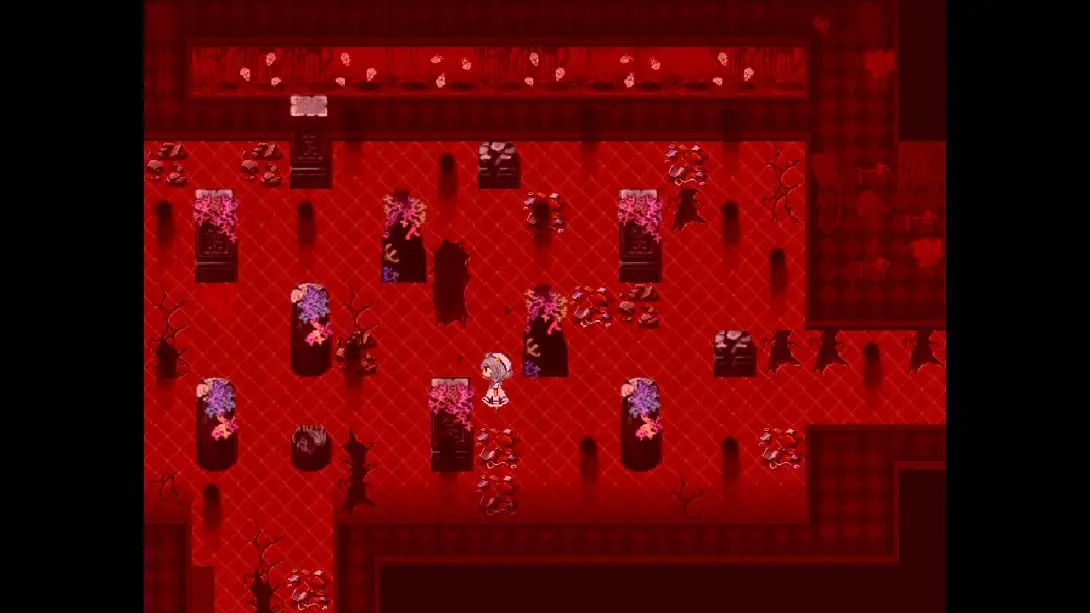 【美版】水族馆不跳舞 .The Aquarium does not dance 中文插图5 【美版】水族馆不跳舞 .The Aquarium does not dance 中文插图5